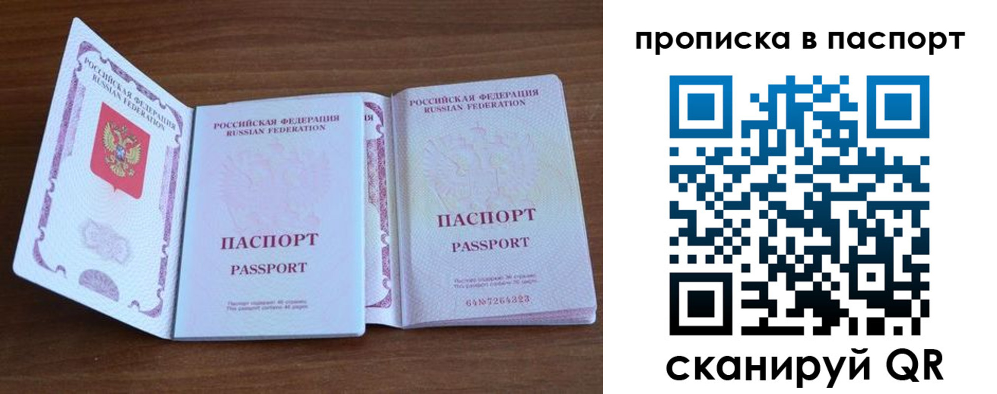 временная регистрация поиск в Челябинской области